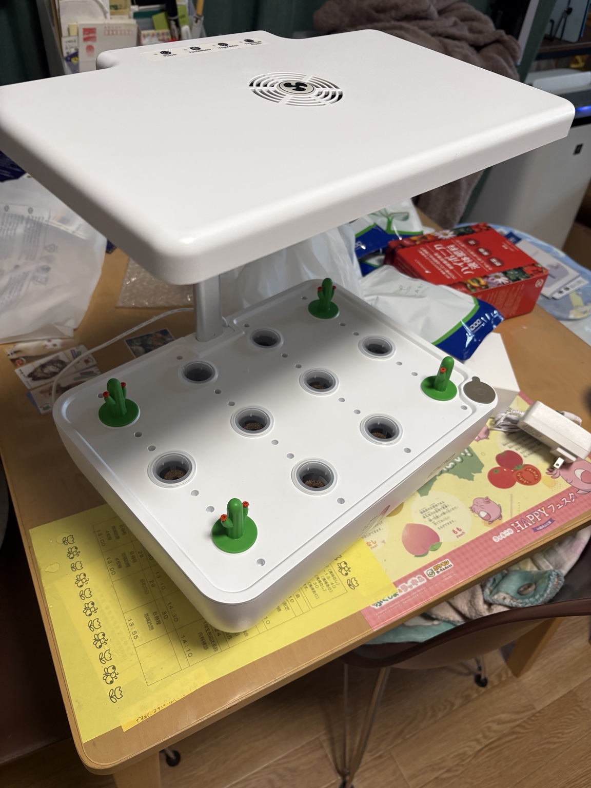 【iDOO水耕栽培】矮性ミニトマトレジナを育ててみたら？自作容器で育てた場合の違いも検討しました