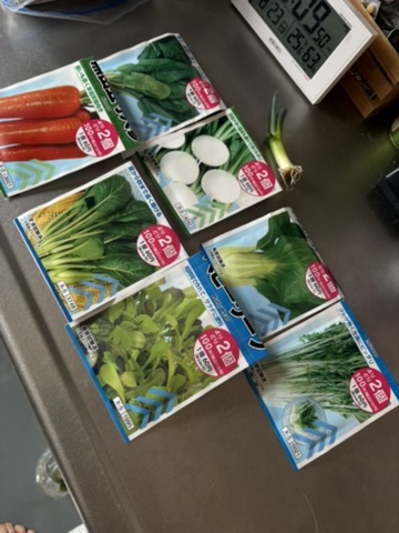 〖家庭菜園〗実は室内でも育ててます🌱我が家の室内栽培スペース